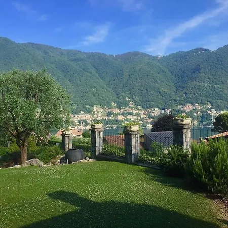 Exquisite Near